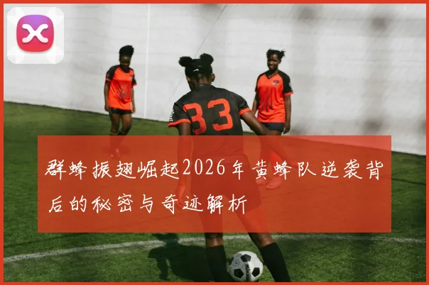 群蜂振翅崛起2026年黄蜂队逆袭背后的秘密与奇迹解析